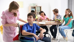 ATENCIÓN A LA DIVERSIDAD: diferencias funcionales personales y de compensación educativa (125 horas)